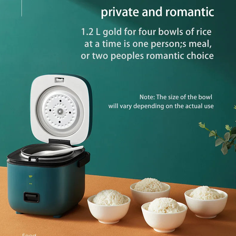 Hot Selling 1.2L/2L Electric Rice Cooker Mini Household Plastic Steamer Detachable Power Cord Stainless Steel Aluminum 2.8L RV