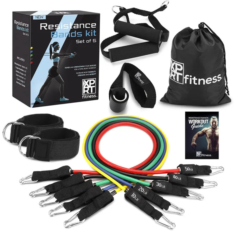 Latex and TPE Workout Resistance Bands Set Adjustable Yoga Exercise Tube Bands for Pull-up Stretch Sports  Resistance Tube